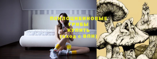 эйфоретик Алексеевка