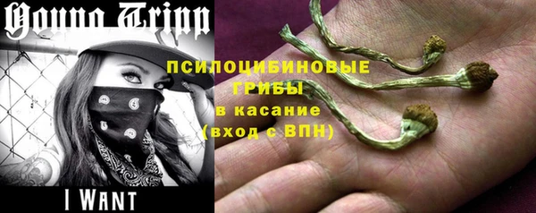 прущий лед Алексин