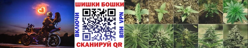 Шишки марихуана Amnesia  Кукмор 